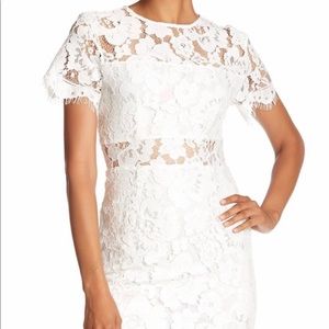 NSR Lace Sheath Dress
